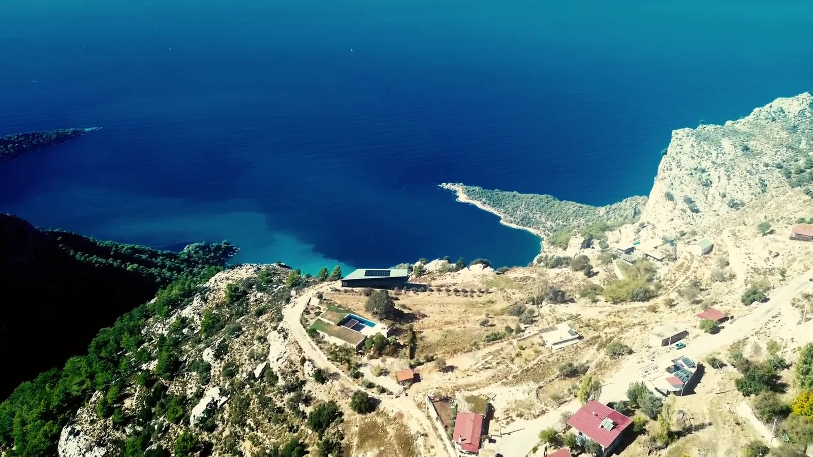 Cadru din filmul 3 Olives Society: coastă mediteraneană și livadă de măslini văzute de sus